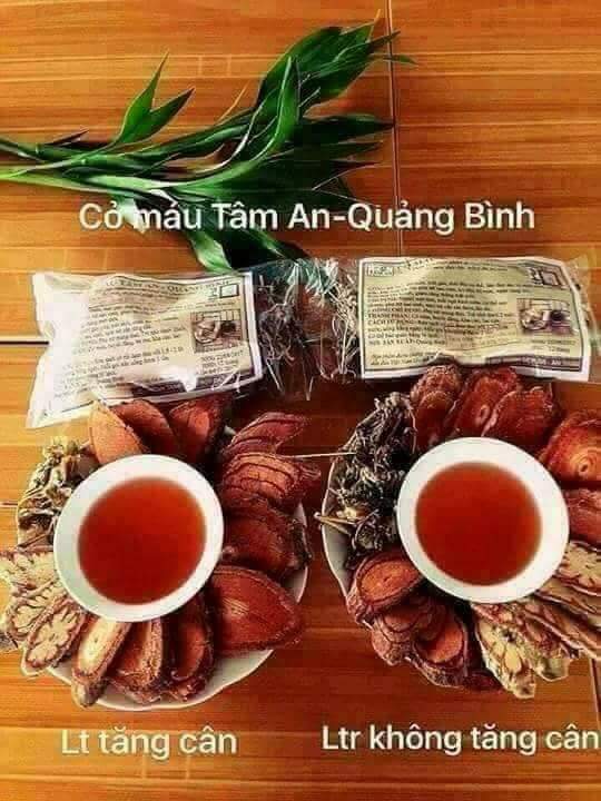 [HCM]Cỏ máu Tâm An Quảng Bình 250k/kg 10 gói