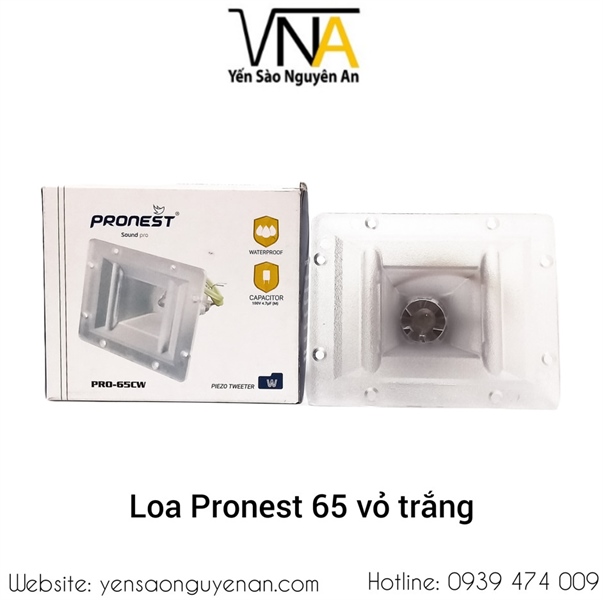 Loa nhà yến ax65 pronest