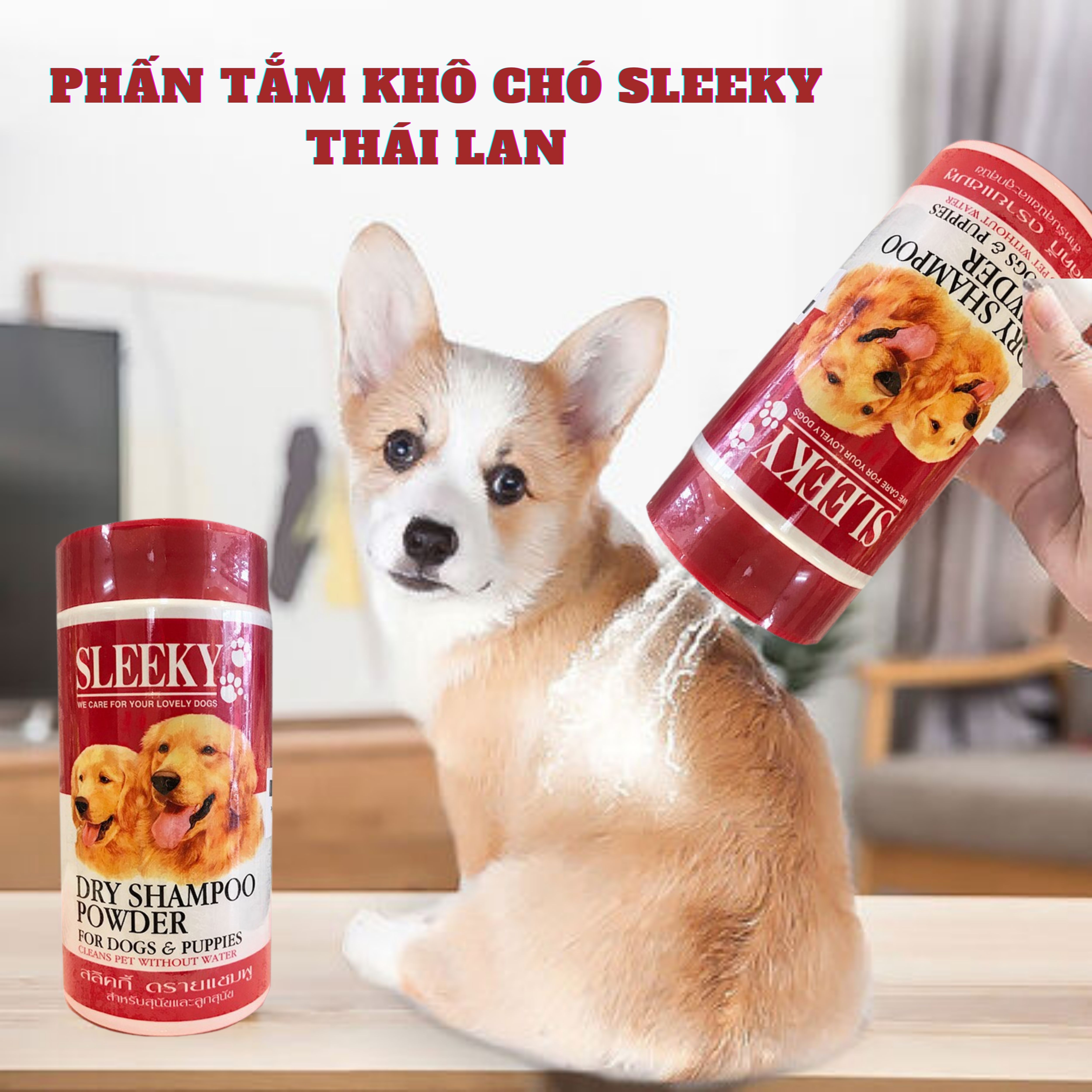 Phấn tắm khô sleeky thái lan 🏷️ freeship 🏷️ sleeky dry shampoo powder 150gr, phấn tắm không dùng nước cho chó mèo