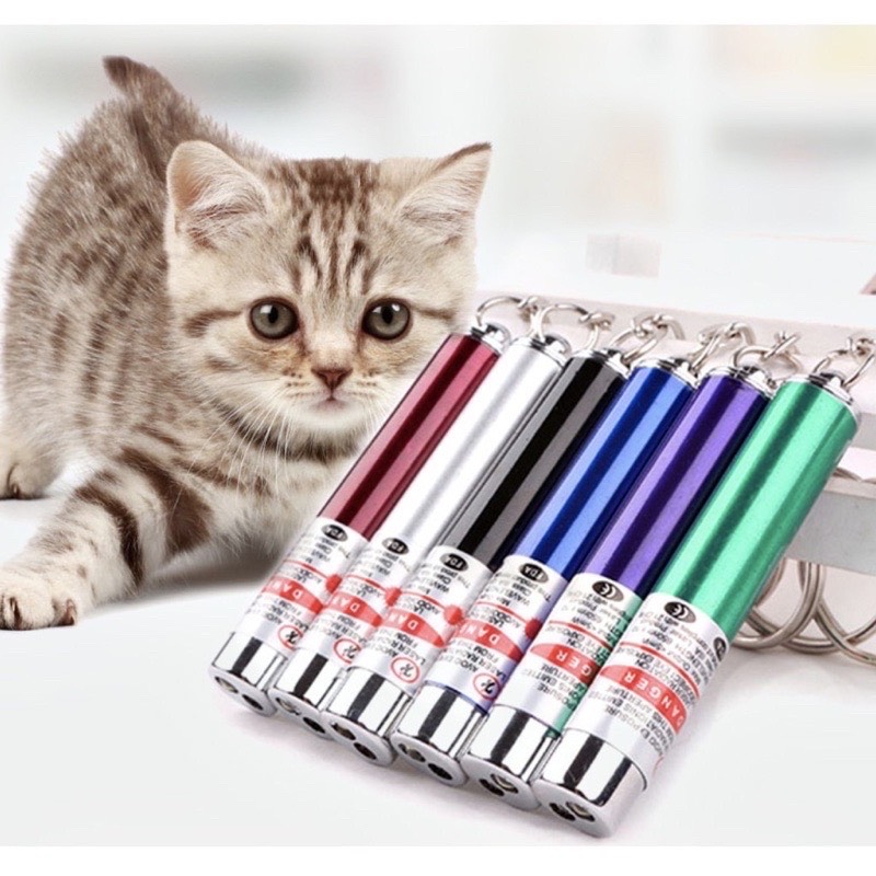   HCM Đèn laser đừa giỡn cho chó mèo - Super bright led laser pointer 