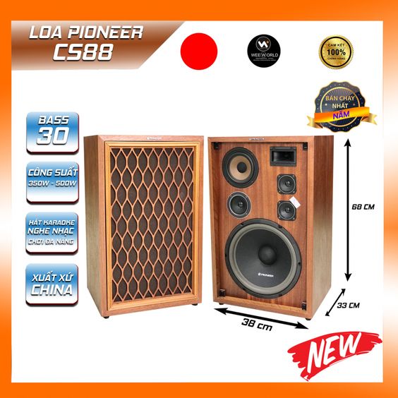 Loa pioneer cs88