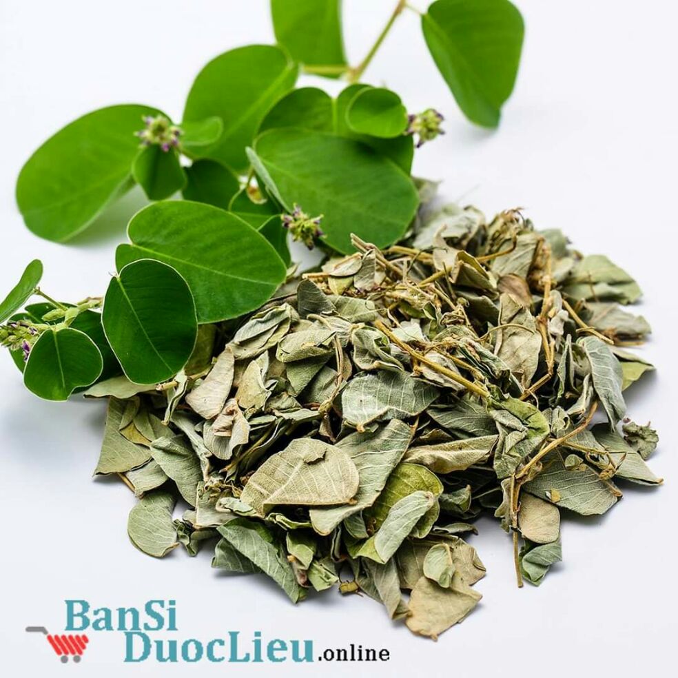 1kg kim tiền thảo khô sạch