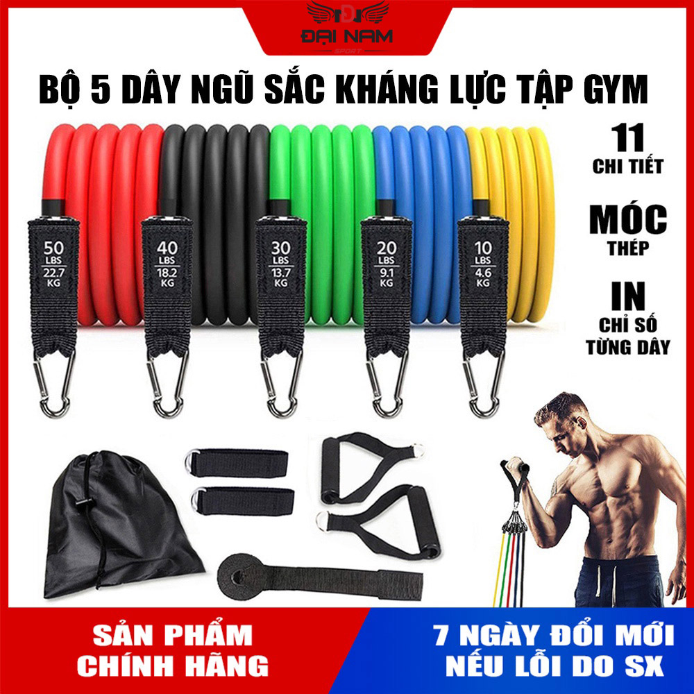 Bộ 5 Dây Kéo Ngũ Sắc Tập Thể Lực,Tập Gym Chính Hãng Đại Nam Sport (Hàng Loại 1 Có Túi Đựng Đi Kèm)
