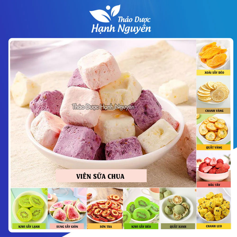 100g Viên sữa chua sấy thăng hoa vị trái cây và tổng hợp 20 loại trái cây tùy chọn - Thảo Dược Hạnh Nguyên