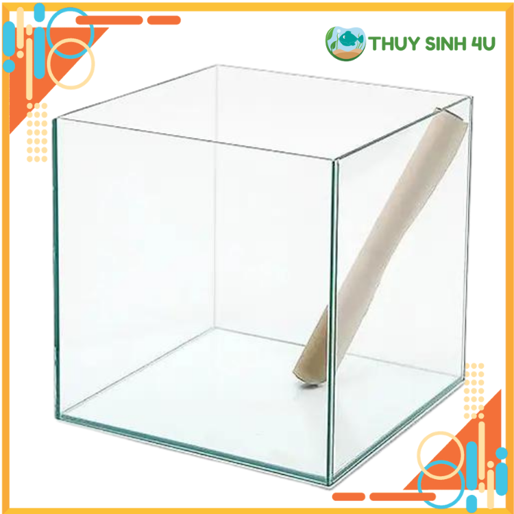 Bể siêu trong - Cubic 20, 25, 30, 35, 40 hàng đẹp