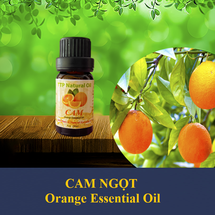 Tinh dầu cam ngọt thiên nhiên Orange - 10ml