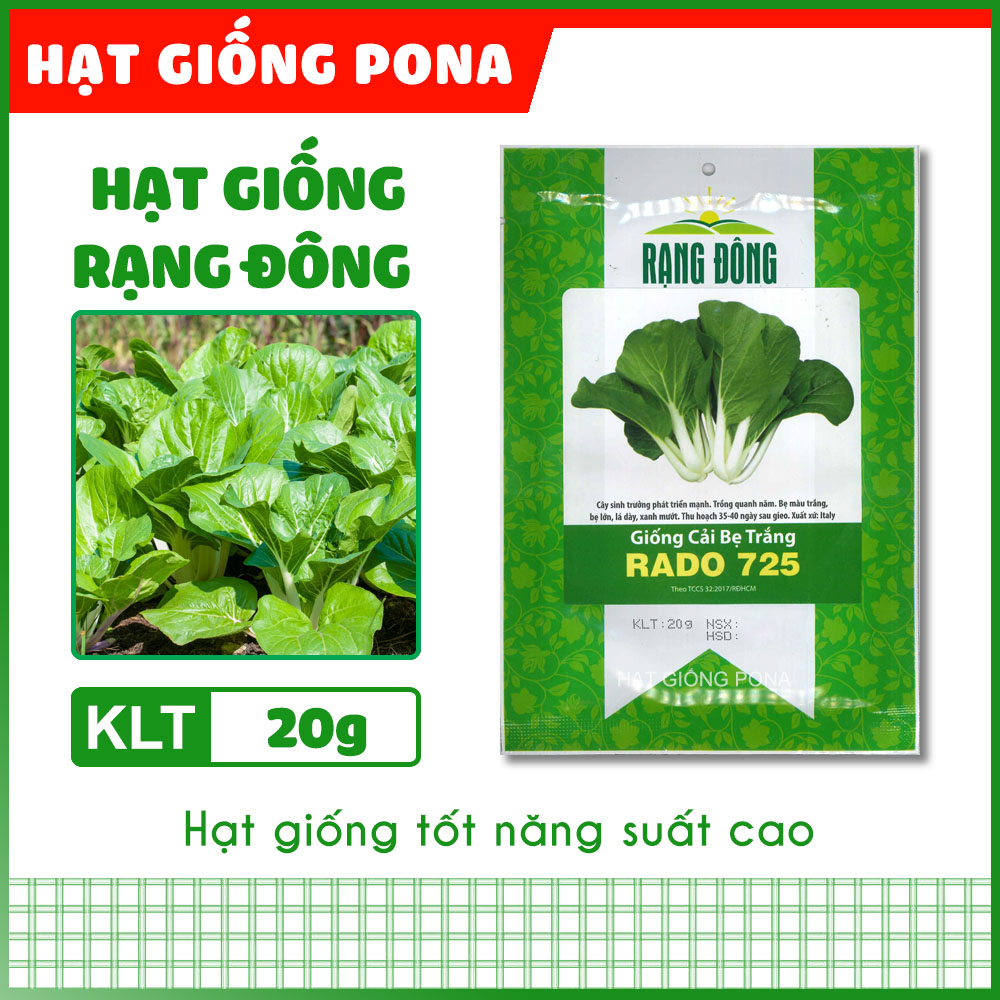 Hạt giống cải bẹ trắng rado 725 - hạt giống rạng đông