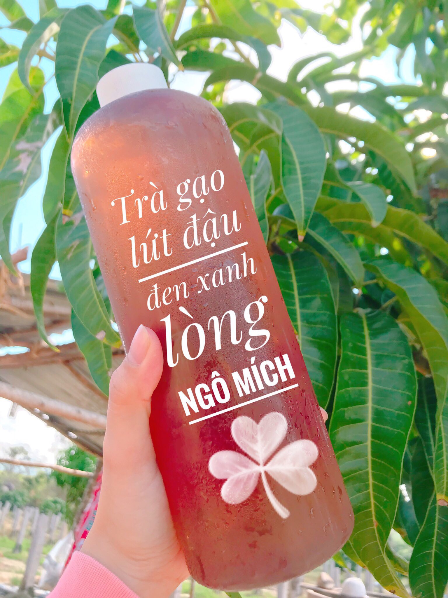 Trà gạo lứt đậu đen xanh lòng NGÔ MÍCH - Giải độc, mát gan, đẹp da ( Túi 500gr)