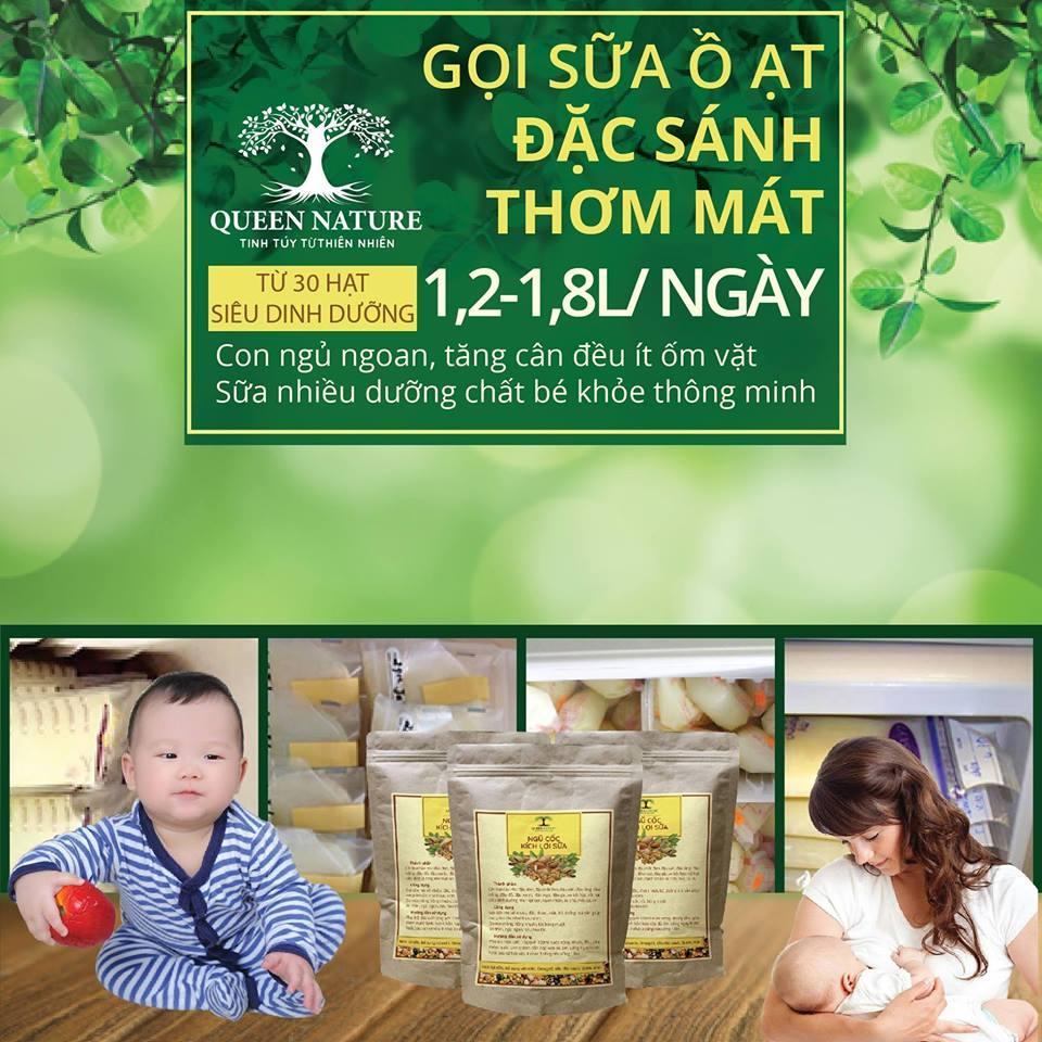 Ngũ cốc kích lợi sữa Queen Nature