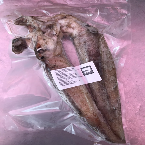 - mực ống - argentina - 500gram