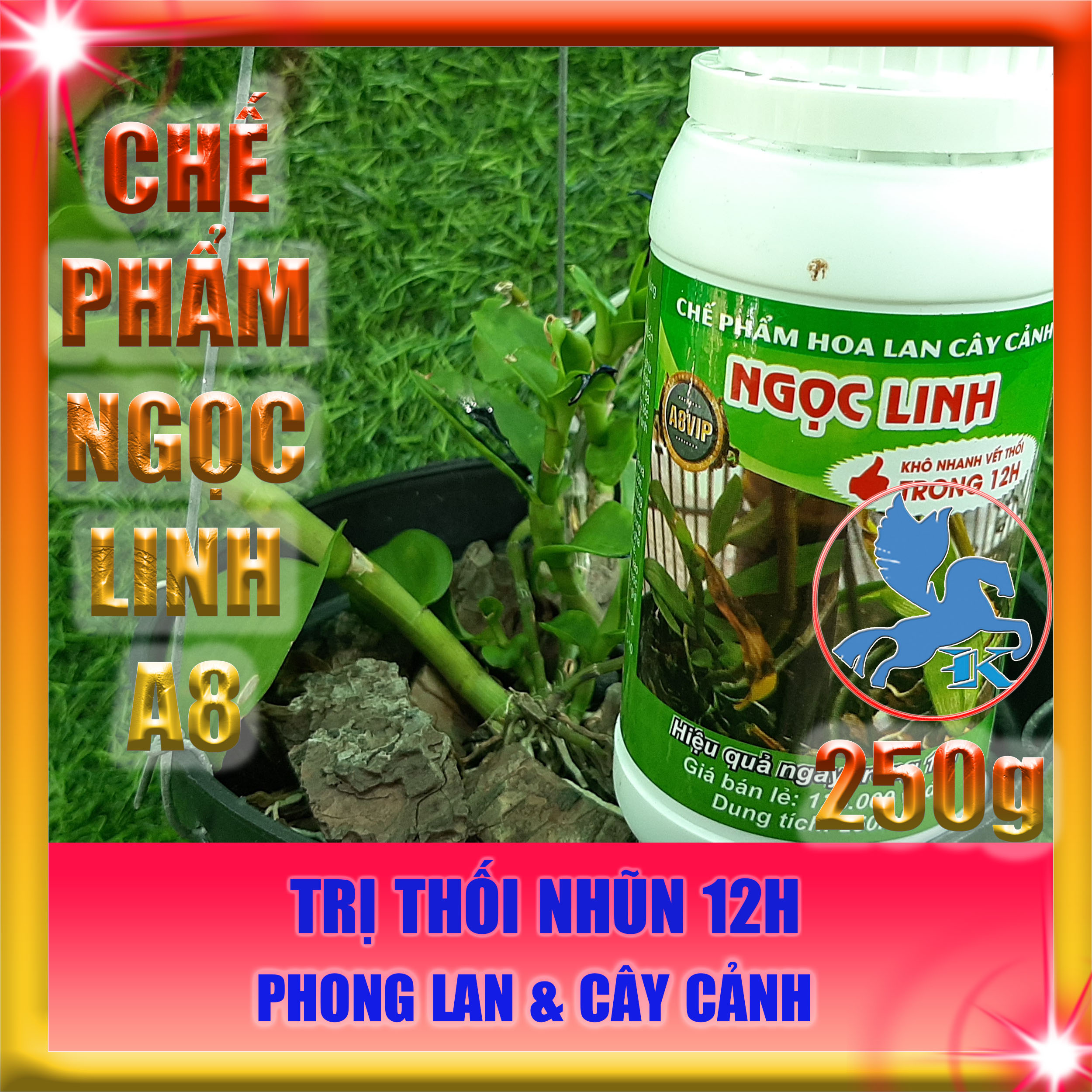 Chế Phẩm Ngọc Linh A8 VIP | Khô nhanh vết thối trong 12h cho phong lan