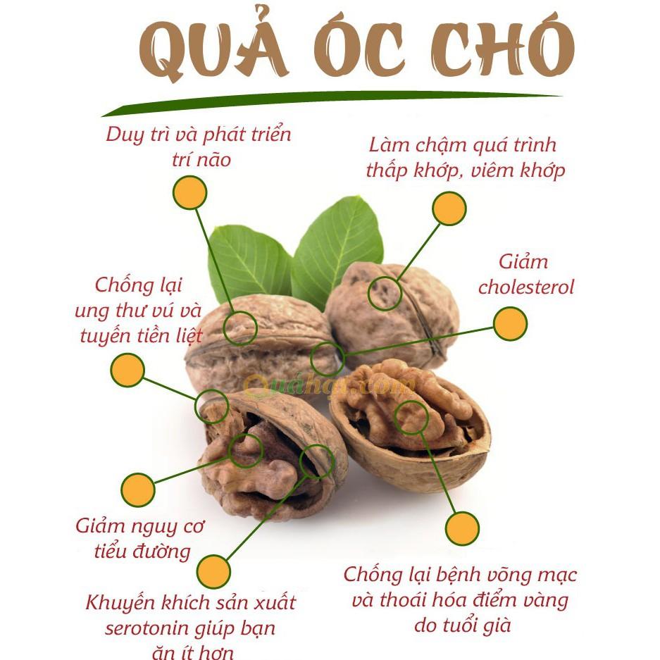 1 kg óc chó loại ngon tặng kìm tách hạt