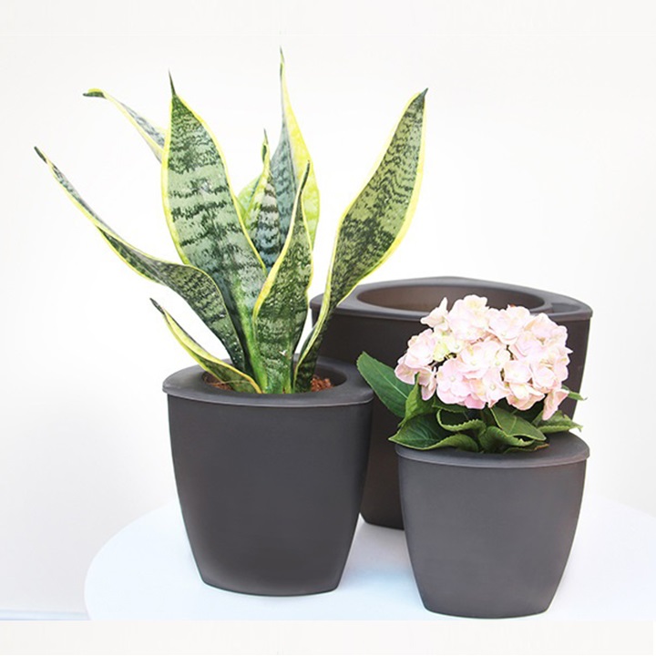 Chậu trồng cây thông minh - Chậu tam giác