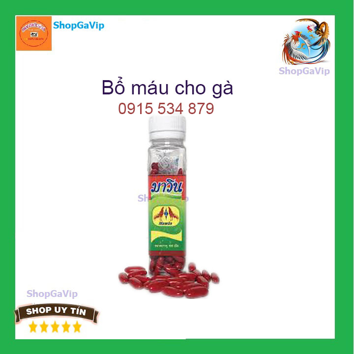 Bổ máu cho gà lọ vuông hủ 100v maxwin