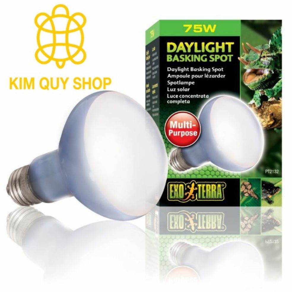 Đèn UVA Exo Terra sưởi ngày dành cho bò sát