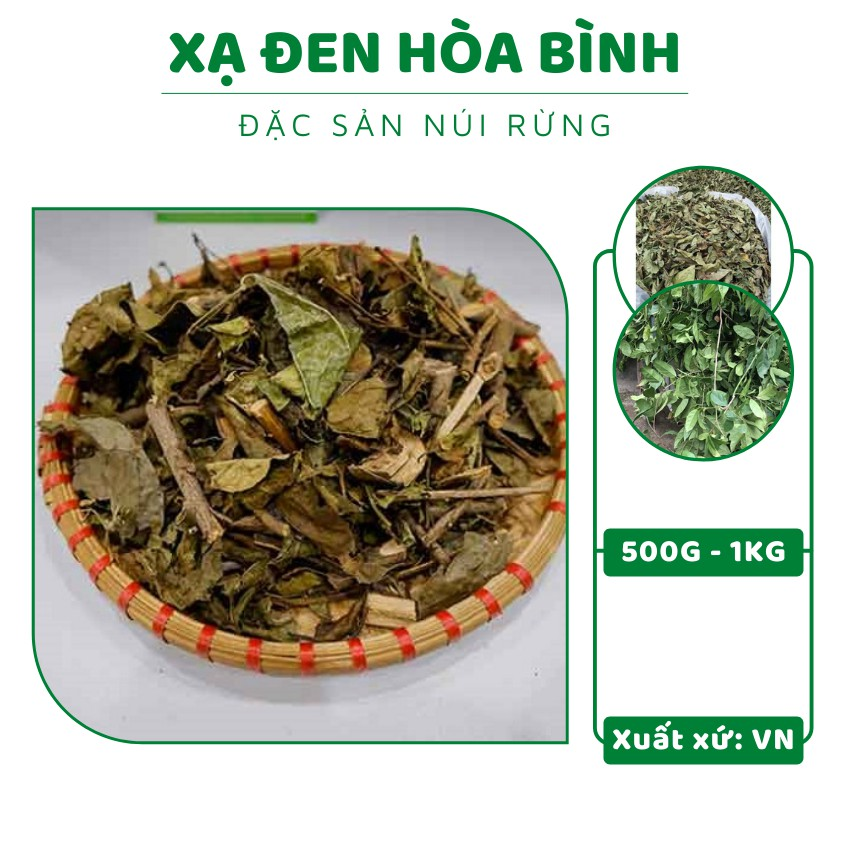 Xạ đen Hoà Bình xạ đen giúp an thần, tăng cường sức đề kháng cho cơ thể - 1kg, thảo dược, dược phẩm, chăm sóc sức khỏe, xạ đen, cây xạ đen