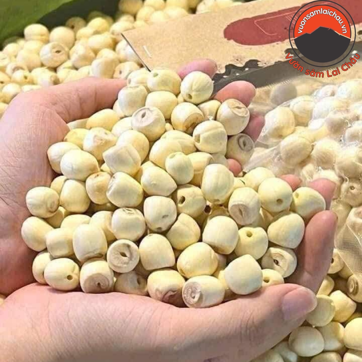 Hạt sen sấy khô hữu cơ Huế loại 1 (200g, 500g, 1kg), trà hạt sen khô nấu chè, nếu cháo, nấu sữa hạt, ăn dặm cho bé