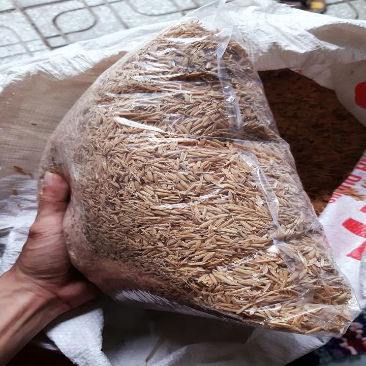 [HCM]Vỏ trấu tươi trồng LAN rau hoa thủy canh chăn nuôi GÓI 1KG