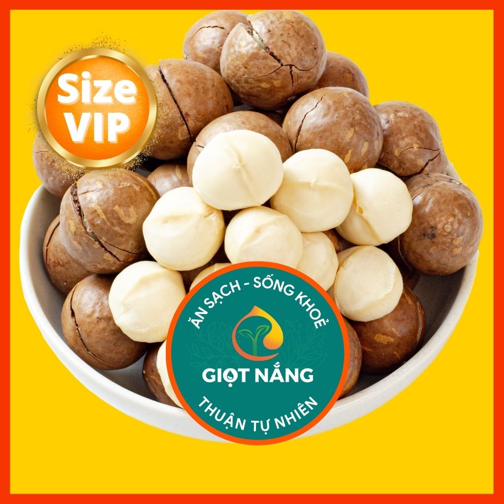 Hạt macca nứt vỏ mắc ca Đăk Lăk sấy lạnh quả dễ tách giá tận xưởng giàu dinh dưỡng cho Mẹ Bầu hộp 500g từ GIỌT NẮNG