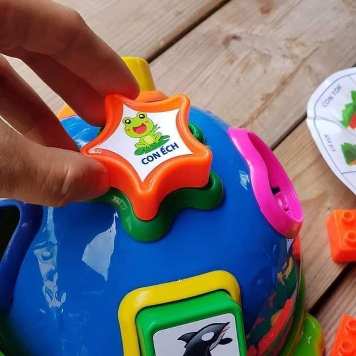 [HCM]Đồ chơi xếp hình sáng tạo RÙA THẢ KHỐI ➕ XẾP LEGO (nhựa Chợ Lớn)