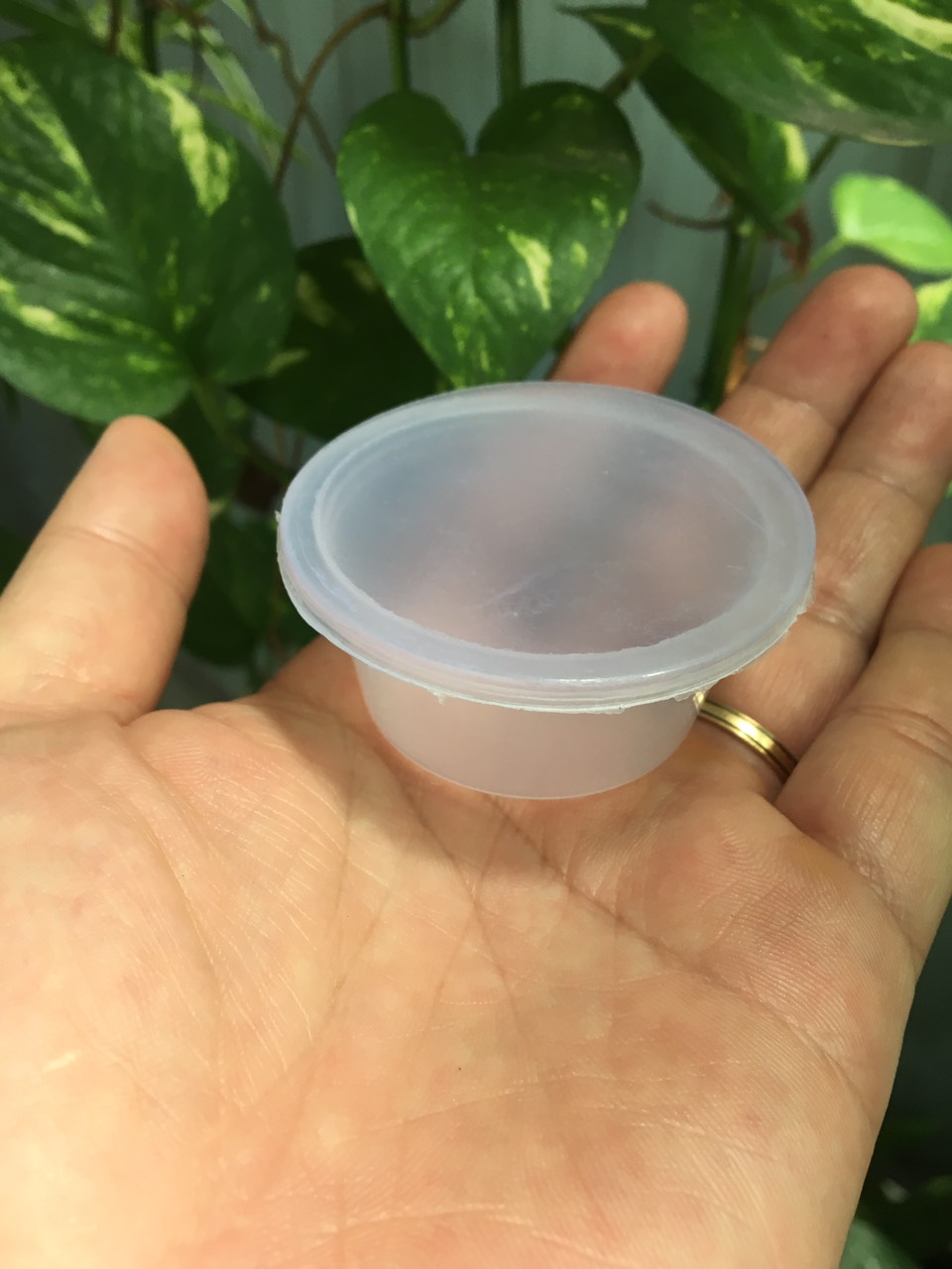 100 hộp nhựa đựng sốt , nước chấm , gia vị