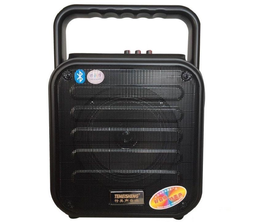 Loa Karaoke, Trợ giảng Temeisheng A6-4