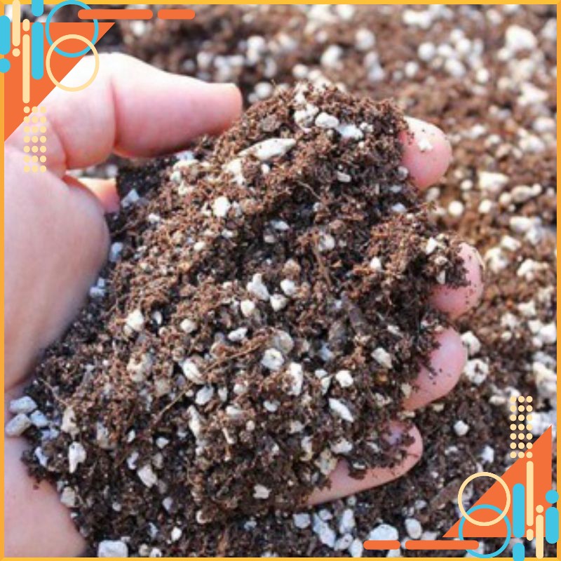 Đất trộn trồng xương rồng sen đá túi 1kg