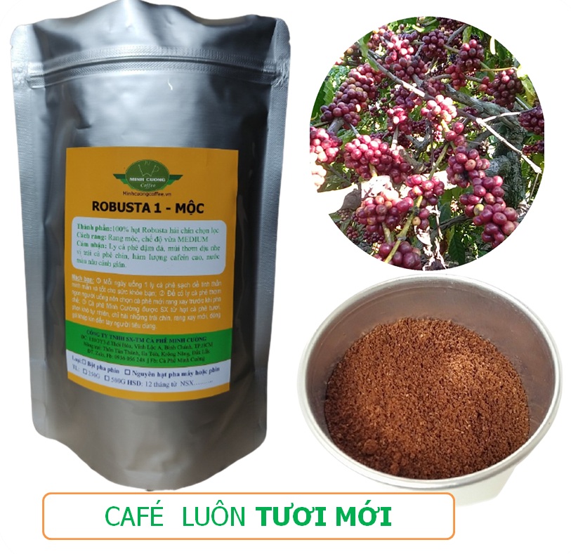 500g cà phê nguyên hạt rang MỘC loại NGON cafe rang xay nguyên chất robusta Đăk Lăk pha máy / pha phin - Cà phê Minh Cường