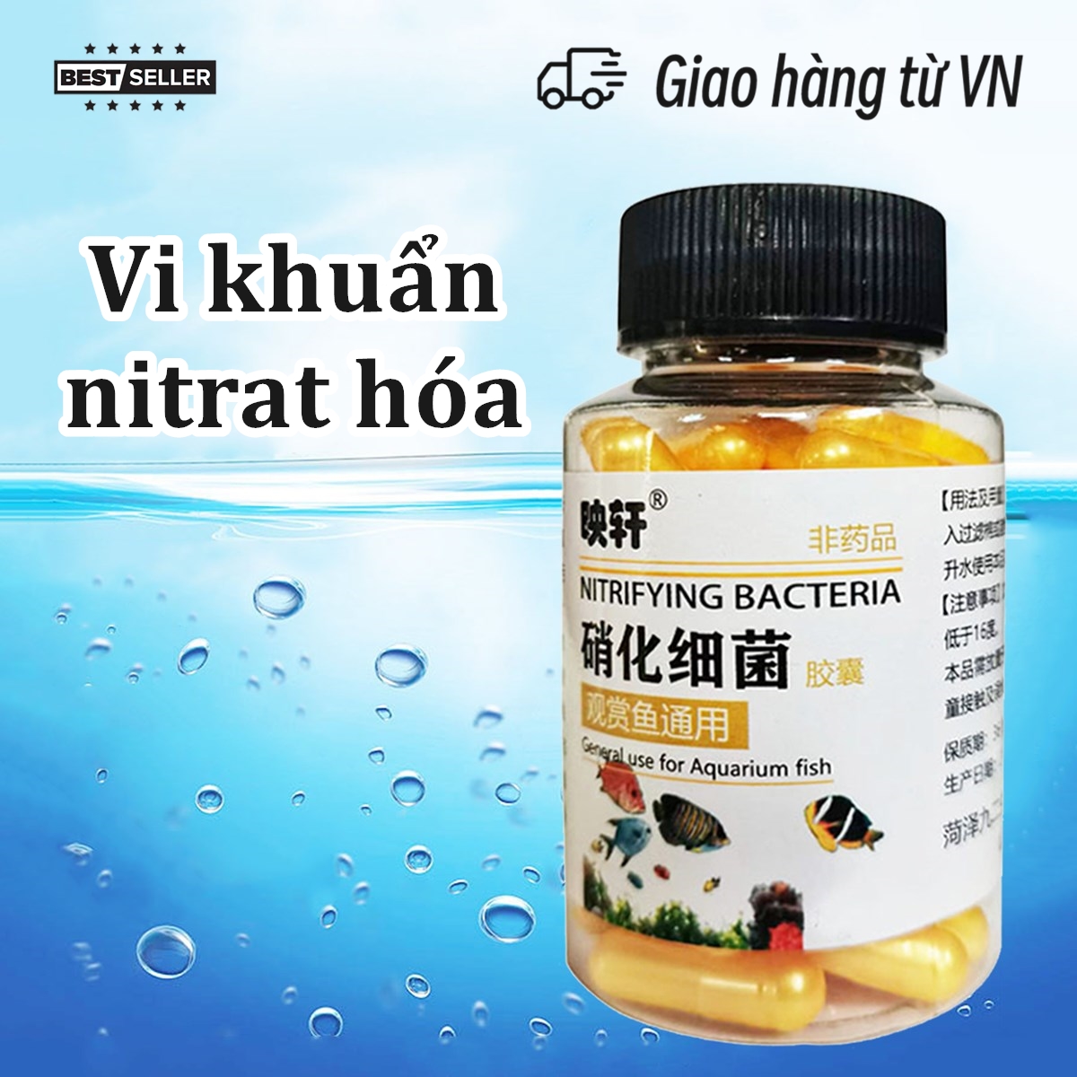 Vi khuẩn nitrat hóa cho bể cá cảnh