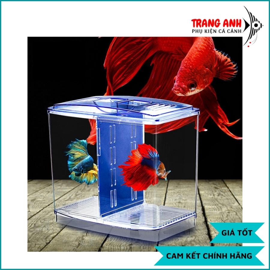 Bể Cá Mini 2 Ngăn - Bể Nuôi Cá Betta nhỏ gọn bằng Nhựa Mica siêu trong