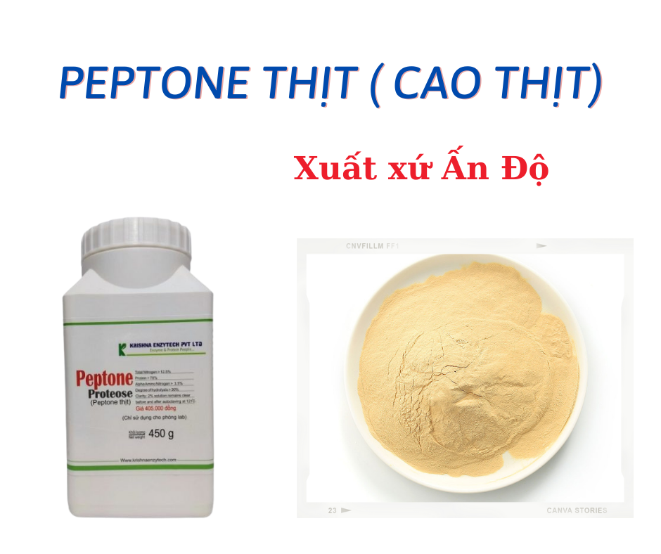 Peptone Proteose Ấn Độ 450g/chai ( Peptone thịt hay cao thịt) dùng nuôi cấy vi sinh, trồng nấm