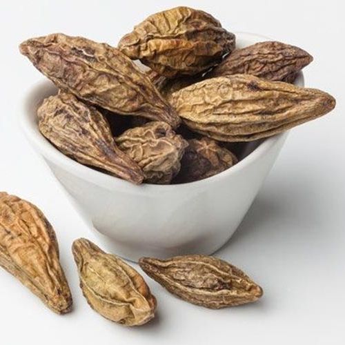 Quả kha tử giảm ho, nấu siro giảm ho Việt Nguyên