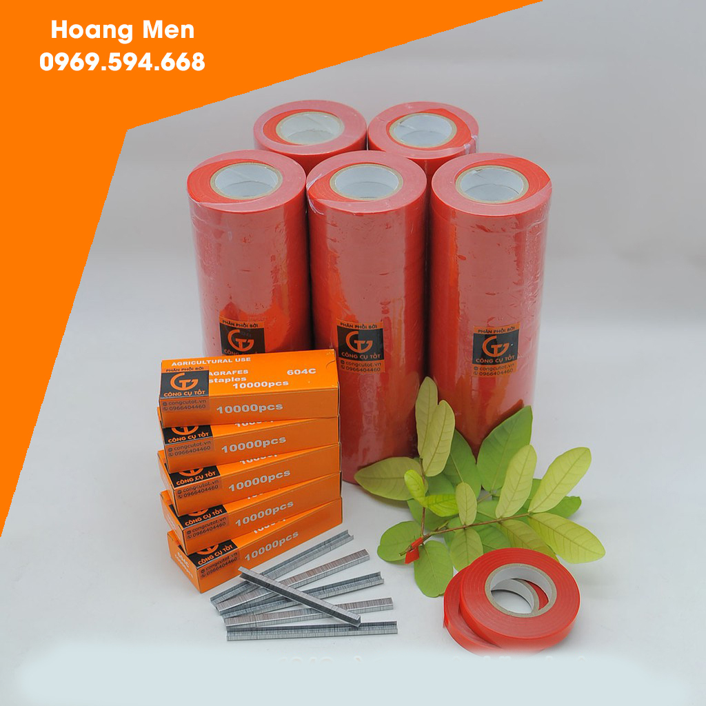 Combo 20 cuộn băng buộc cành và hộp ghim 604C