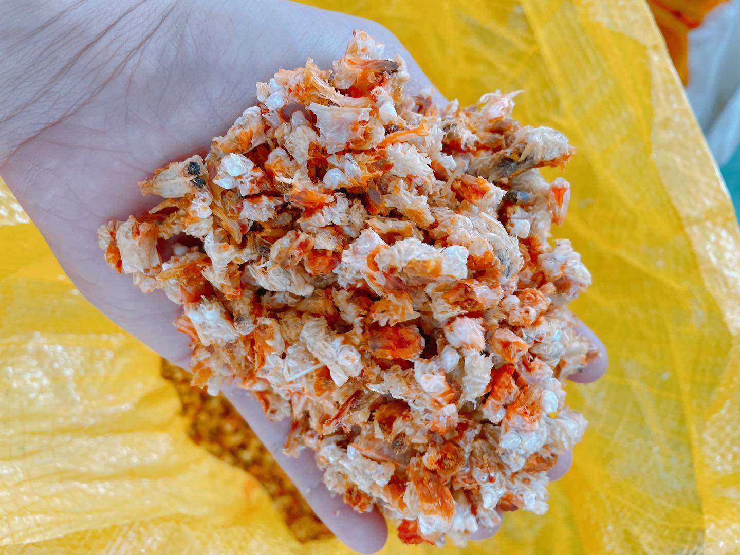 Đầu tôm khô - hộp 500g, khô cà mau, khô cà mau, đặc sản cà mau, đặc sản khô cà mau, đặc sản miền tây