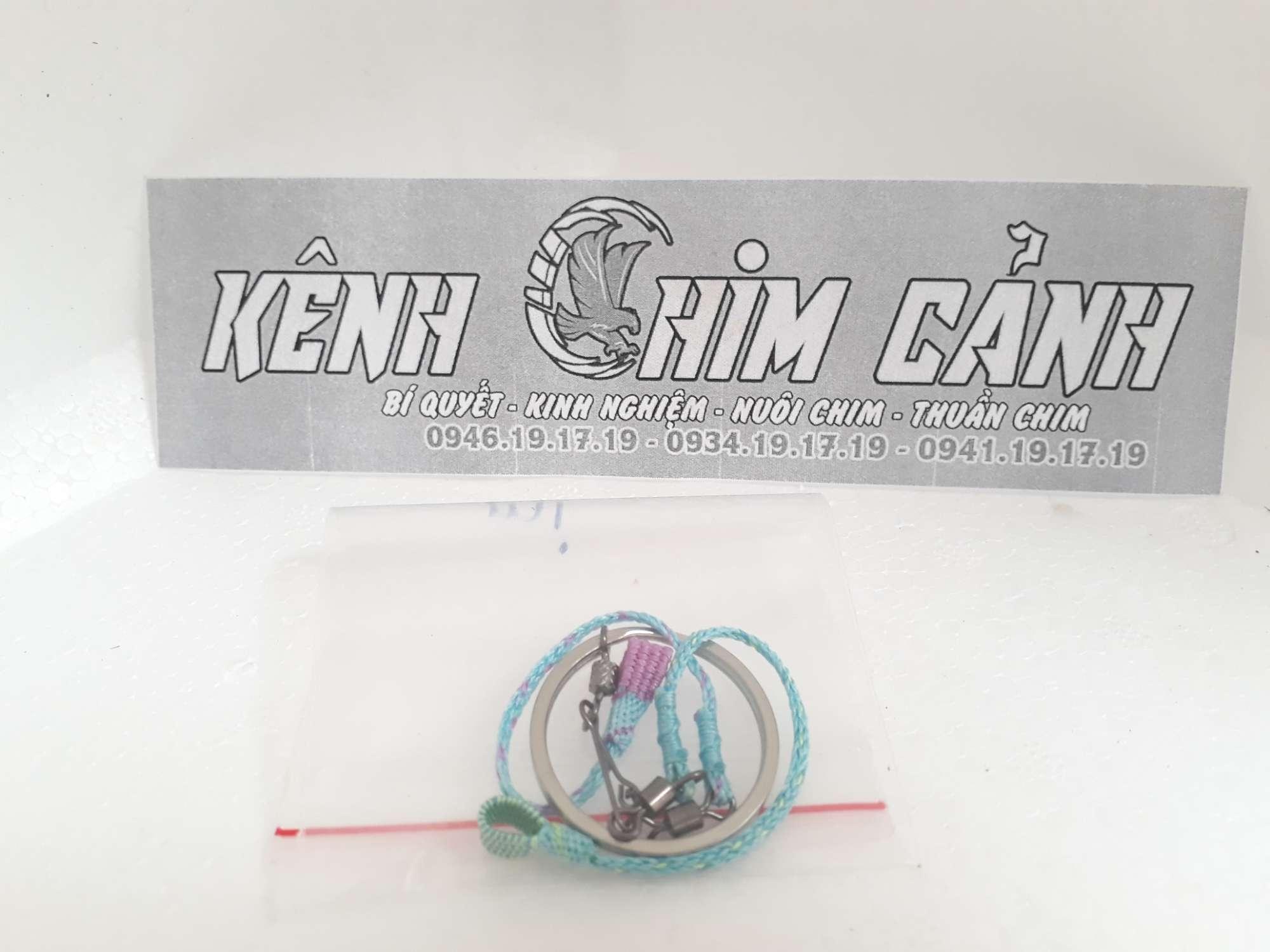 Dây xích thuần chim chào mào-kênh chim cảnh