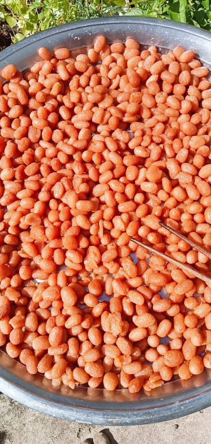 🌴🌴🌴 mứt cau kiểng nhà làm hộp 500gr - shop thơ bùi 85