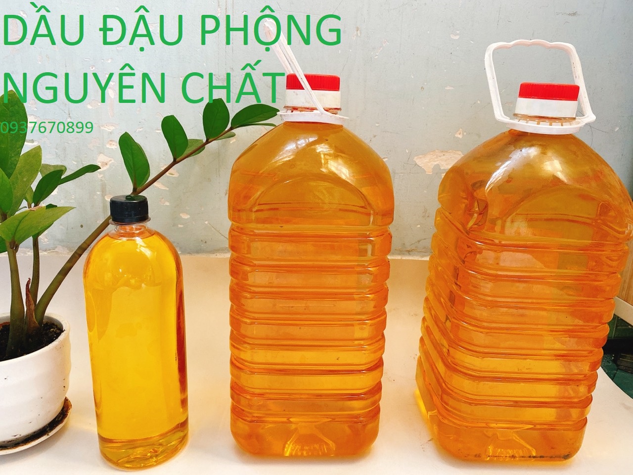 Dầu ăn thuần tự nhiên-Dầu ĐẬU PHỘNG NGUYÊN CHẤT Bình Định 100% nhà ép KHÔNG pha phụ gia-Đậm chất quê hương