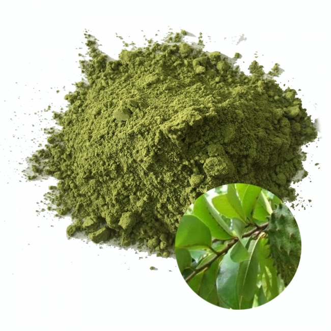 Bột lá mãng cầu xiêm KiHaTi - KiHaTi Soursop Leaf Powder