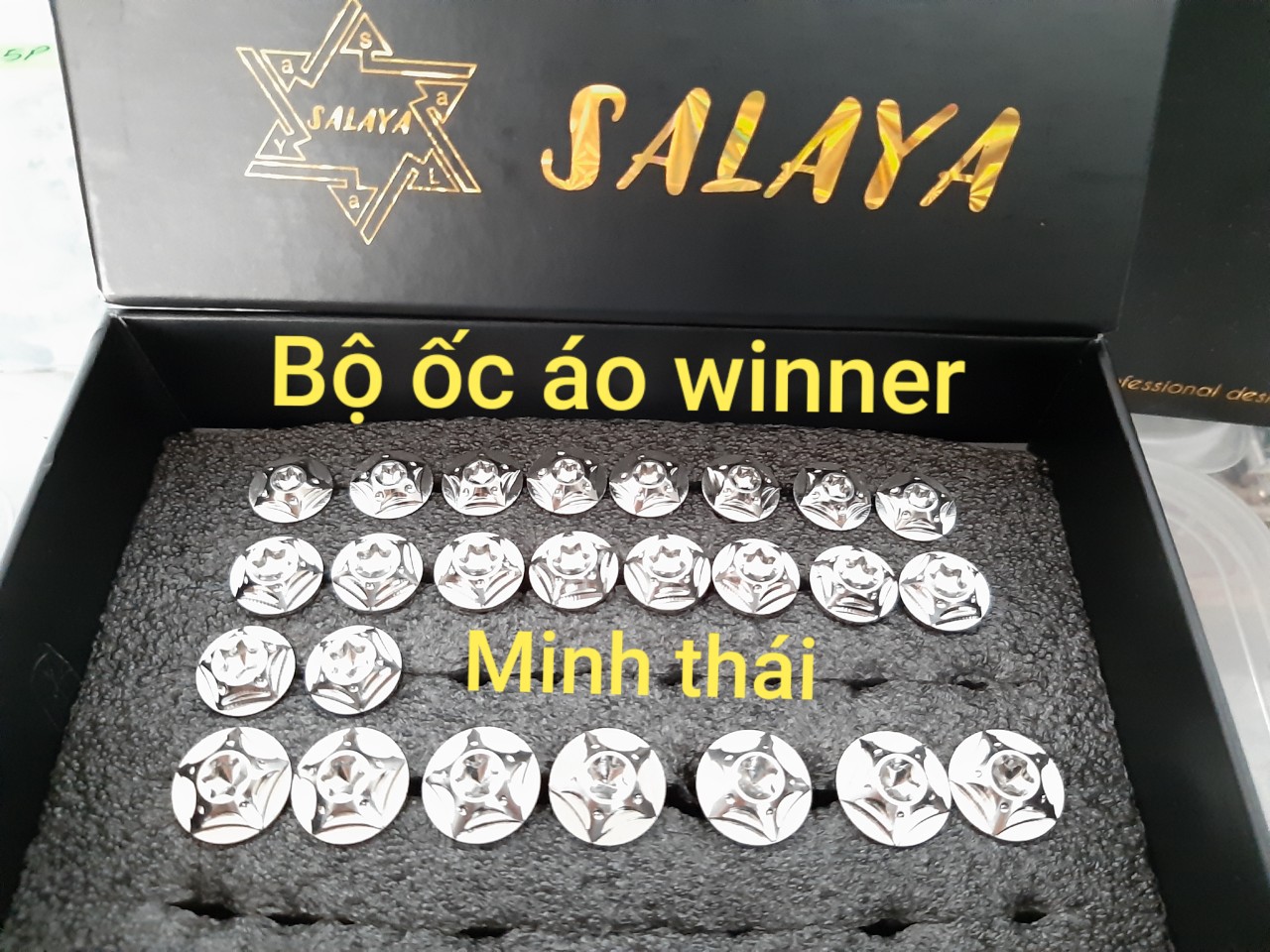 Ốc áo salaya winner