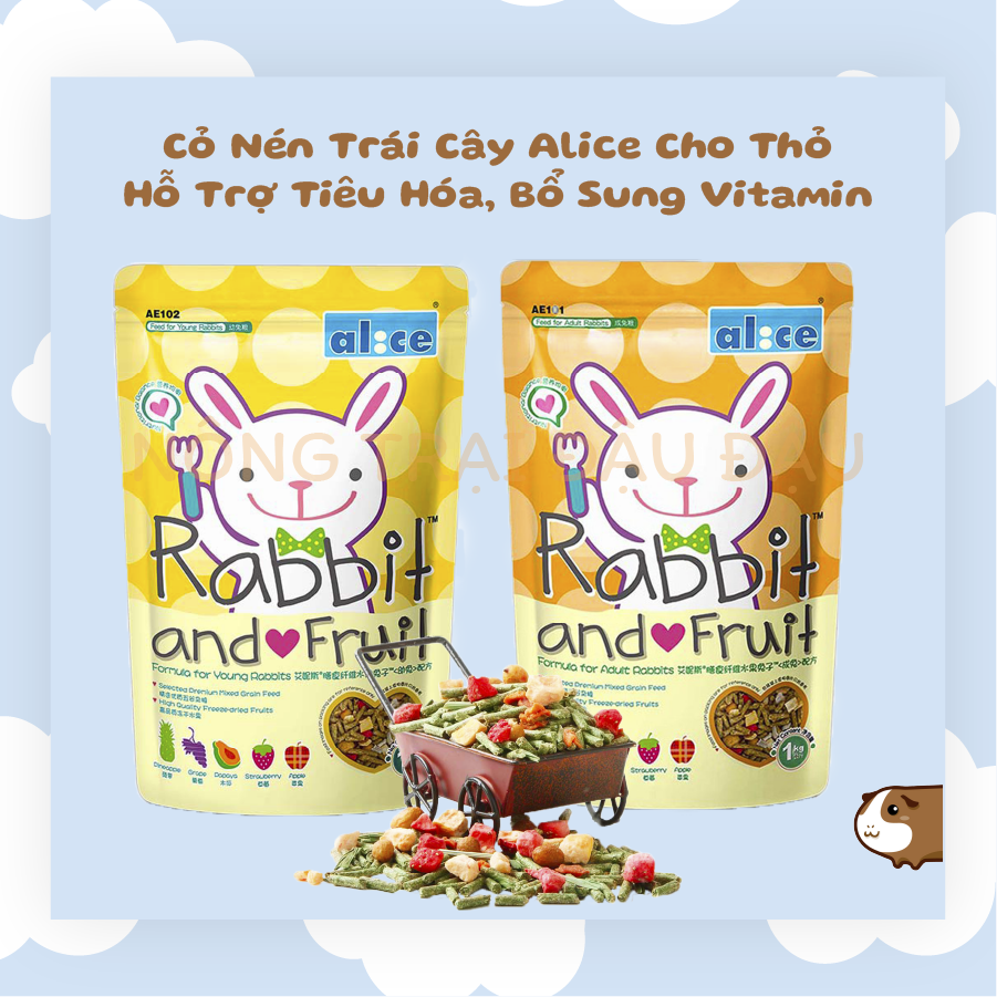 Cỏ nén trái cây alice thức ăn cho thỏ bổ sung vitamin, dinh dưỡng toàn diện 250g, 500g, 1kg - ae102, ae102