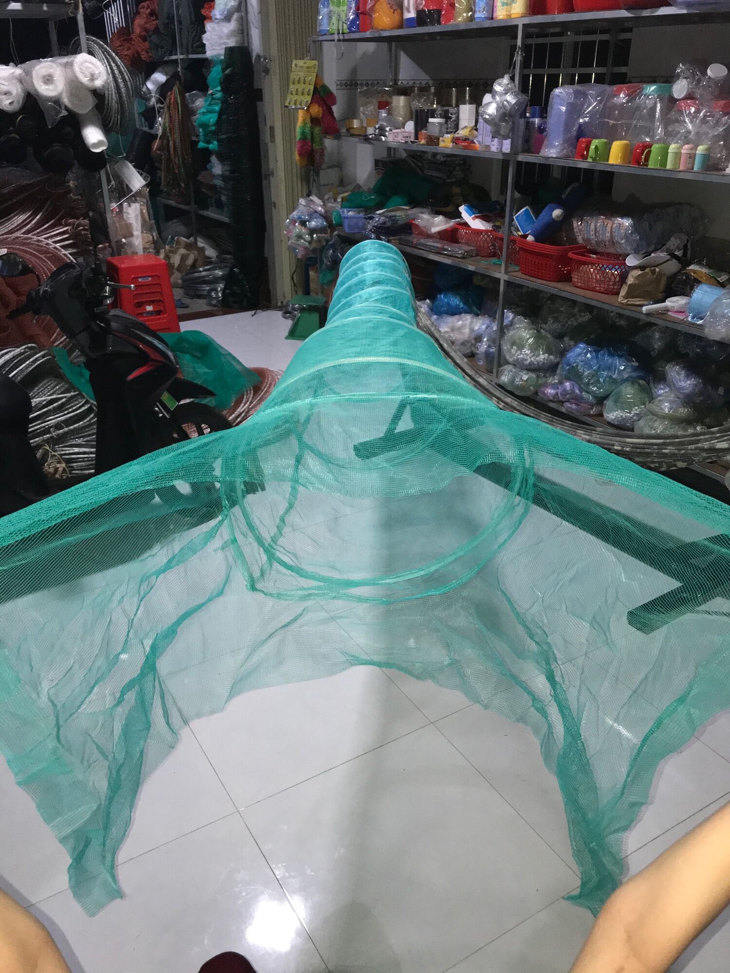 Dớn,lú đặc cá non,tôm,tép,lươn...cá nhỏ các loại (miệng rộng ngang 1,5m, mình dài 3,2m)