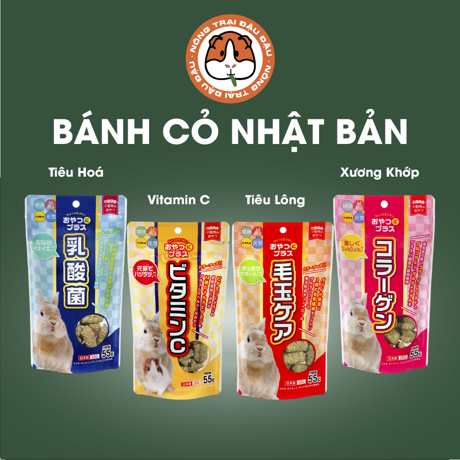 Bánh snack hỗ trợ tiêu lông tiêu hóa cung cấp vitamin c nhật bản cho thỏ, bọ ú, chinchilla