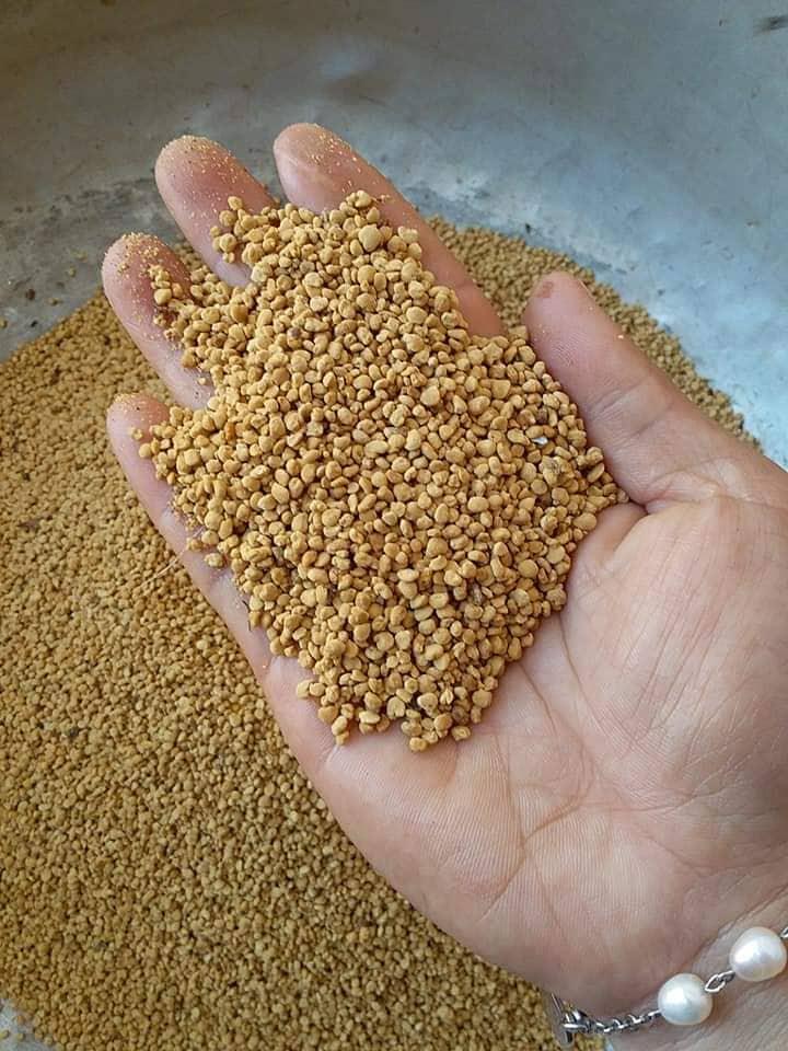 1 kg phấn hoa cà phê Daklak