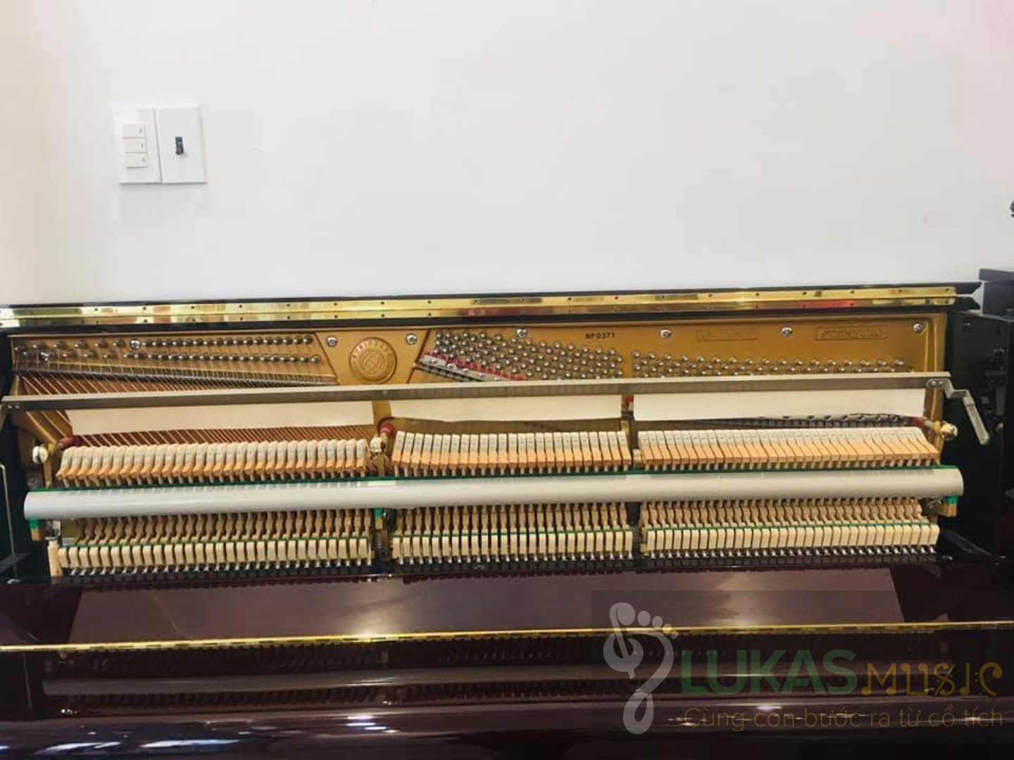 Đàn piano steinburg - mp-119fcd