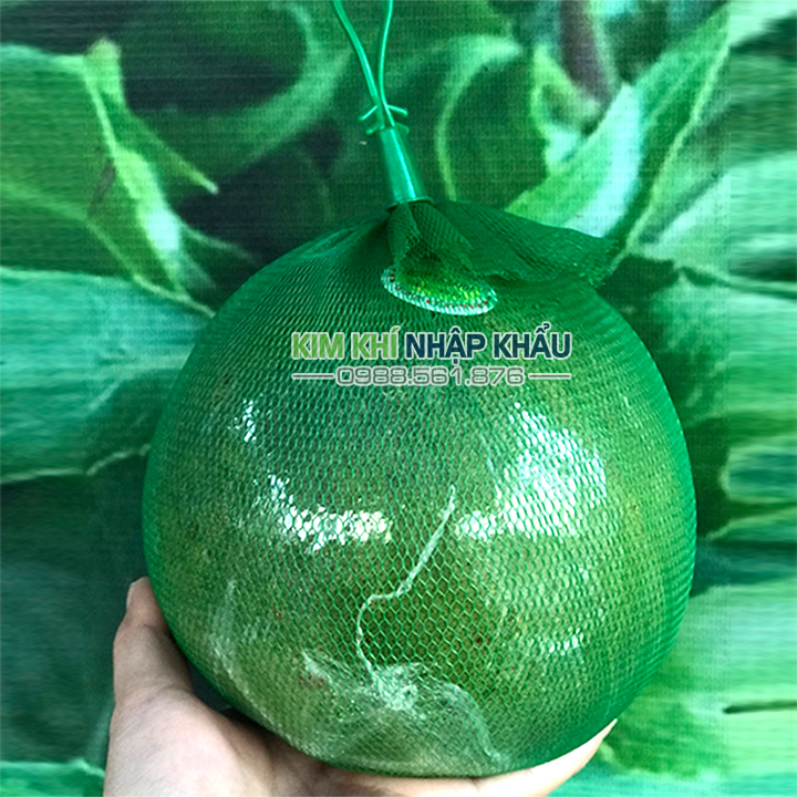 1kg túi lưới bao bưởi kèm khóa màu xanh 40cm