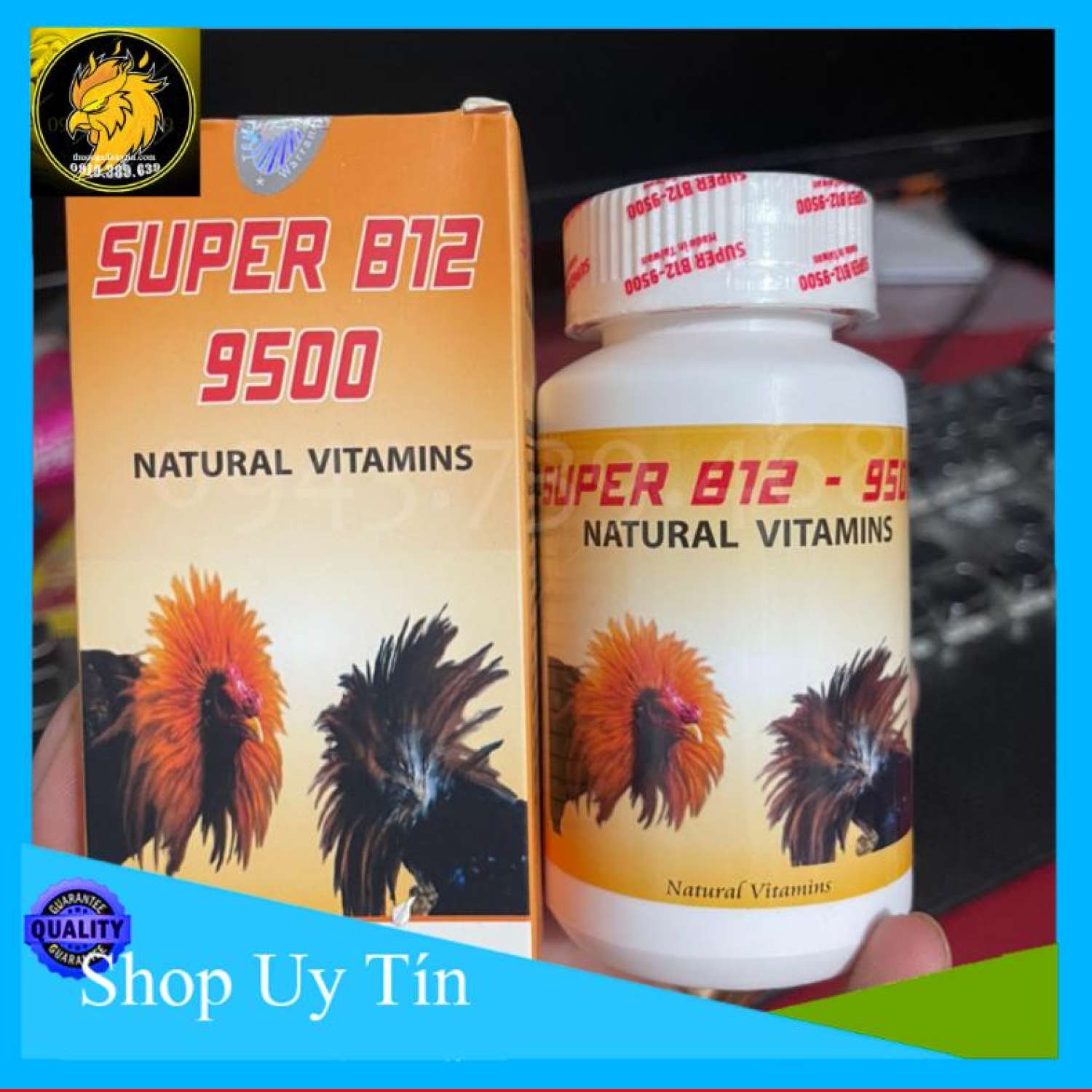 Super b12 9500 nuôi gà đá gom po tuấn cuối