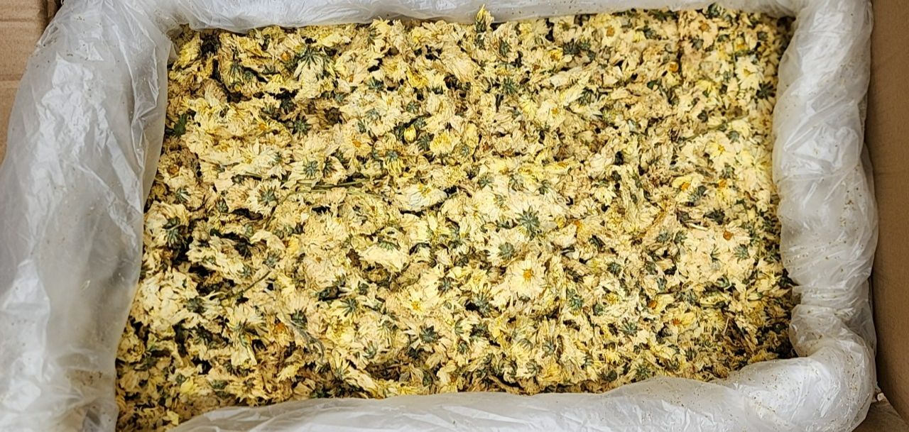 Trà hoa cúc bông cúc thơm loại 1 500 gram