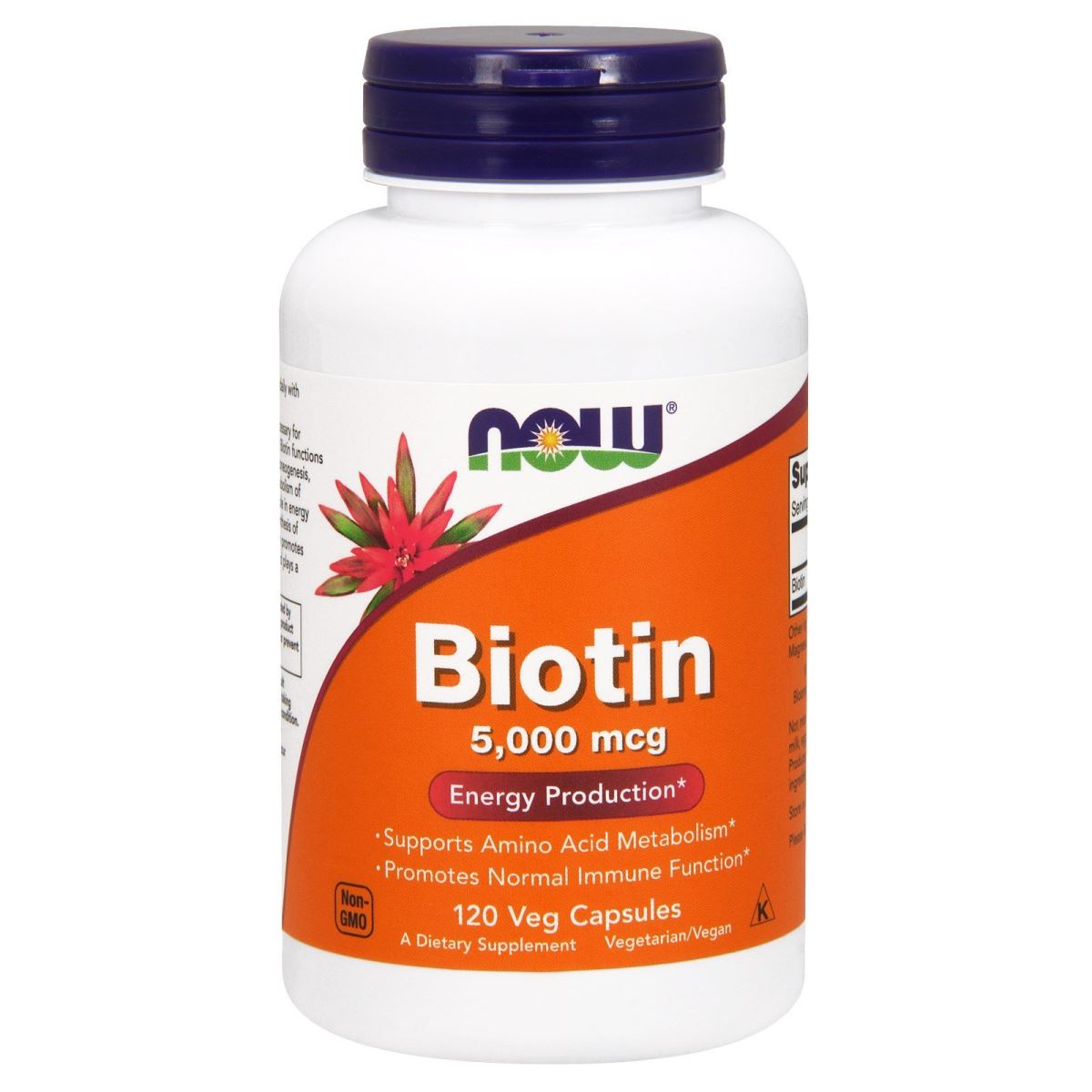Viên uống hỗ trợ mọc tóc và chống rụng tóc Now Biotin 5000mcg 120 Viên