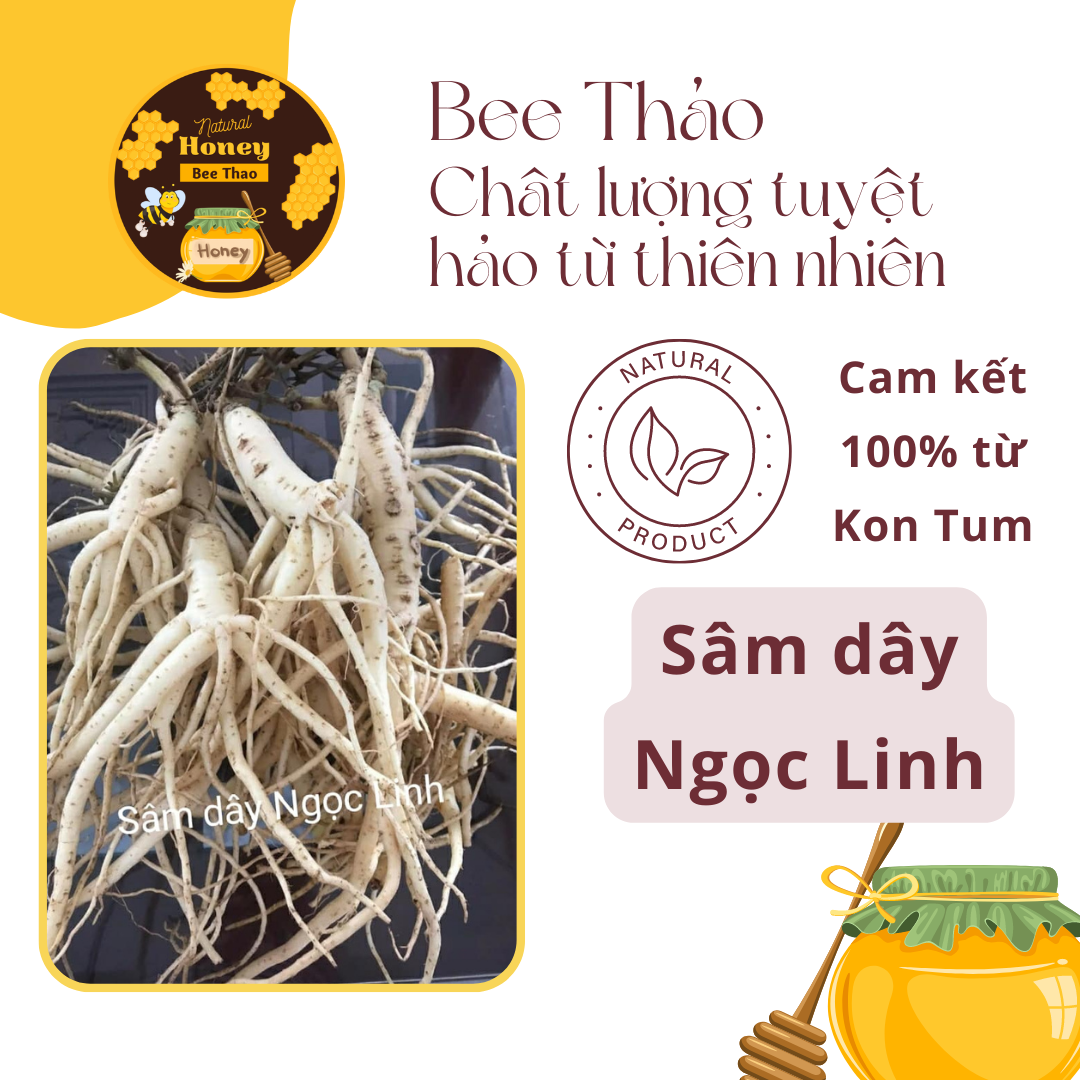 1kg sâm dây ngọc linh rừng từ kon tum