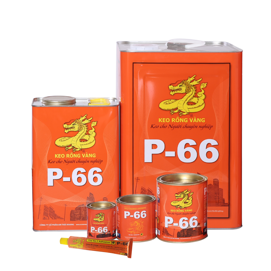 KEO RỒNG VÀNG P-66